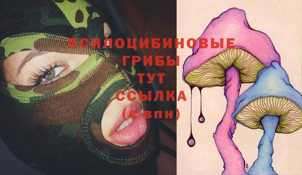 альфа пвп Беломорск