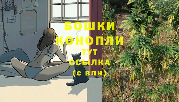альфа пвп Беломорск