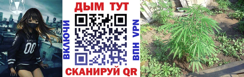 Марихуана Amnesia  Микунь 